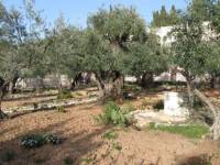 Im Garten Gethsemane